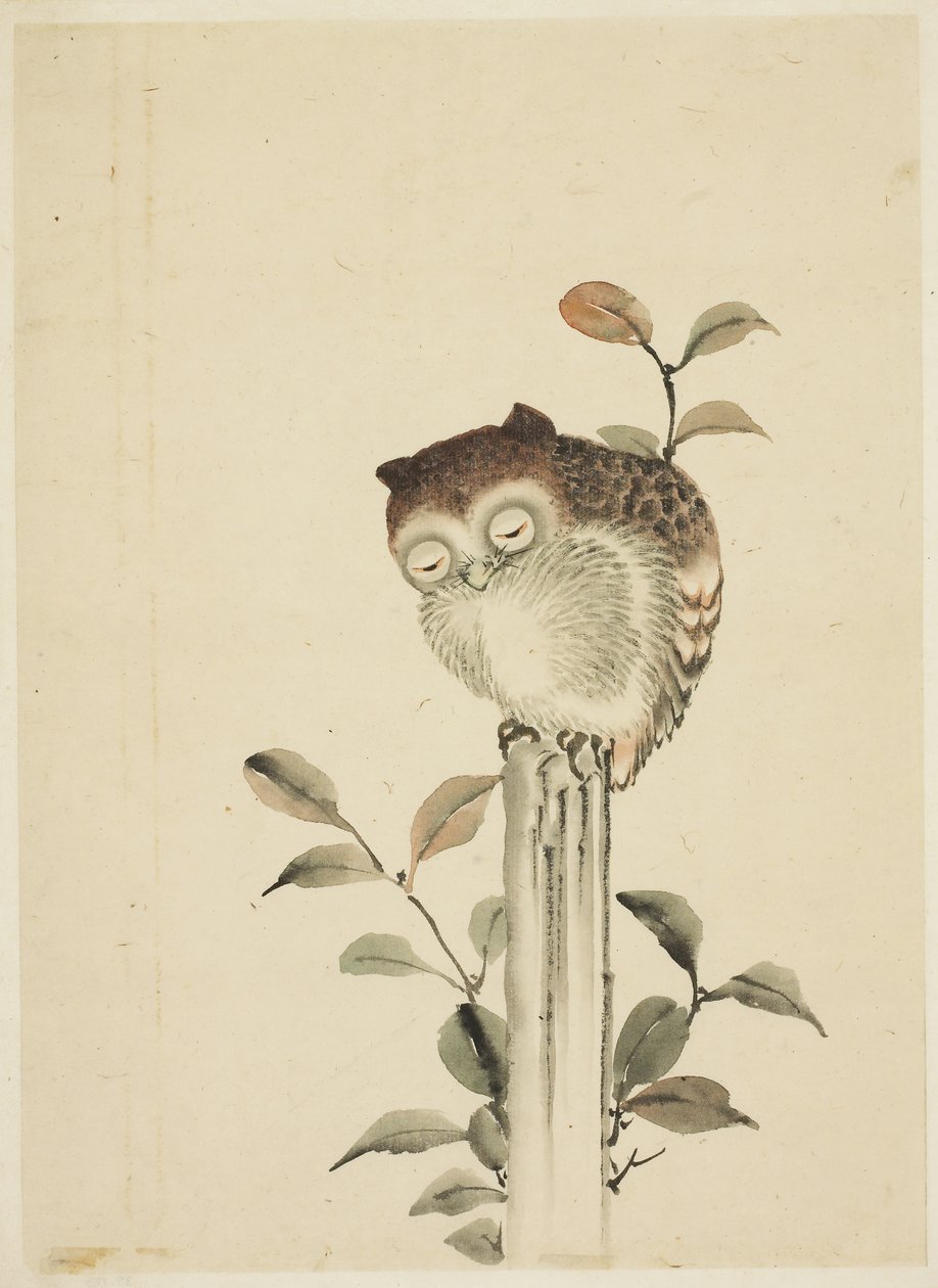 Uggla sover på en stubbe av Katsushika (school of) Hokusai