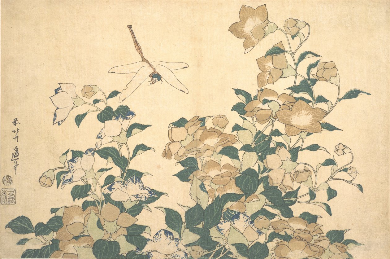 Dragonfly and Bellflower, sent 1820-tal. av Katsushika Hokusai