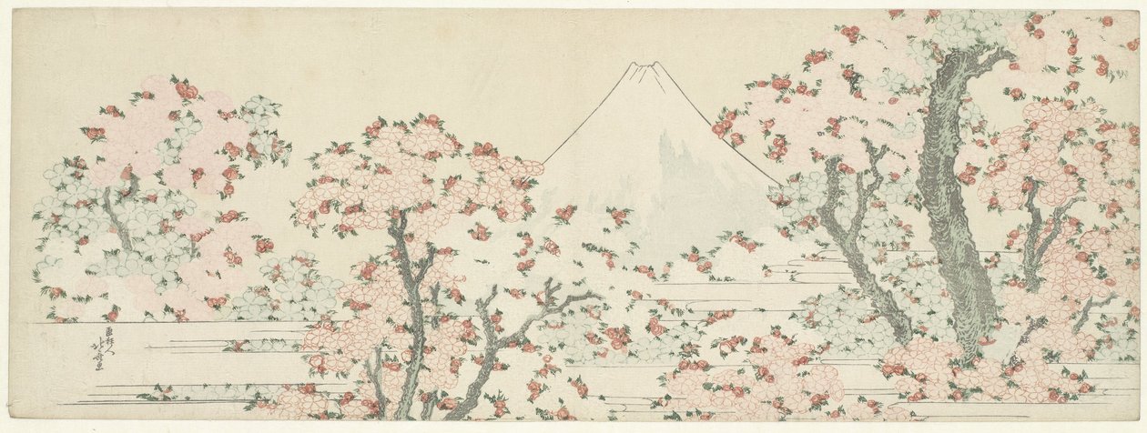 Fuji över körsbärsblomningen, ca 1800-1805 (träsnitt) av Katsushika Hokusai