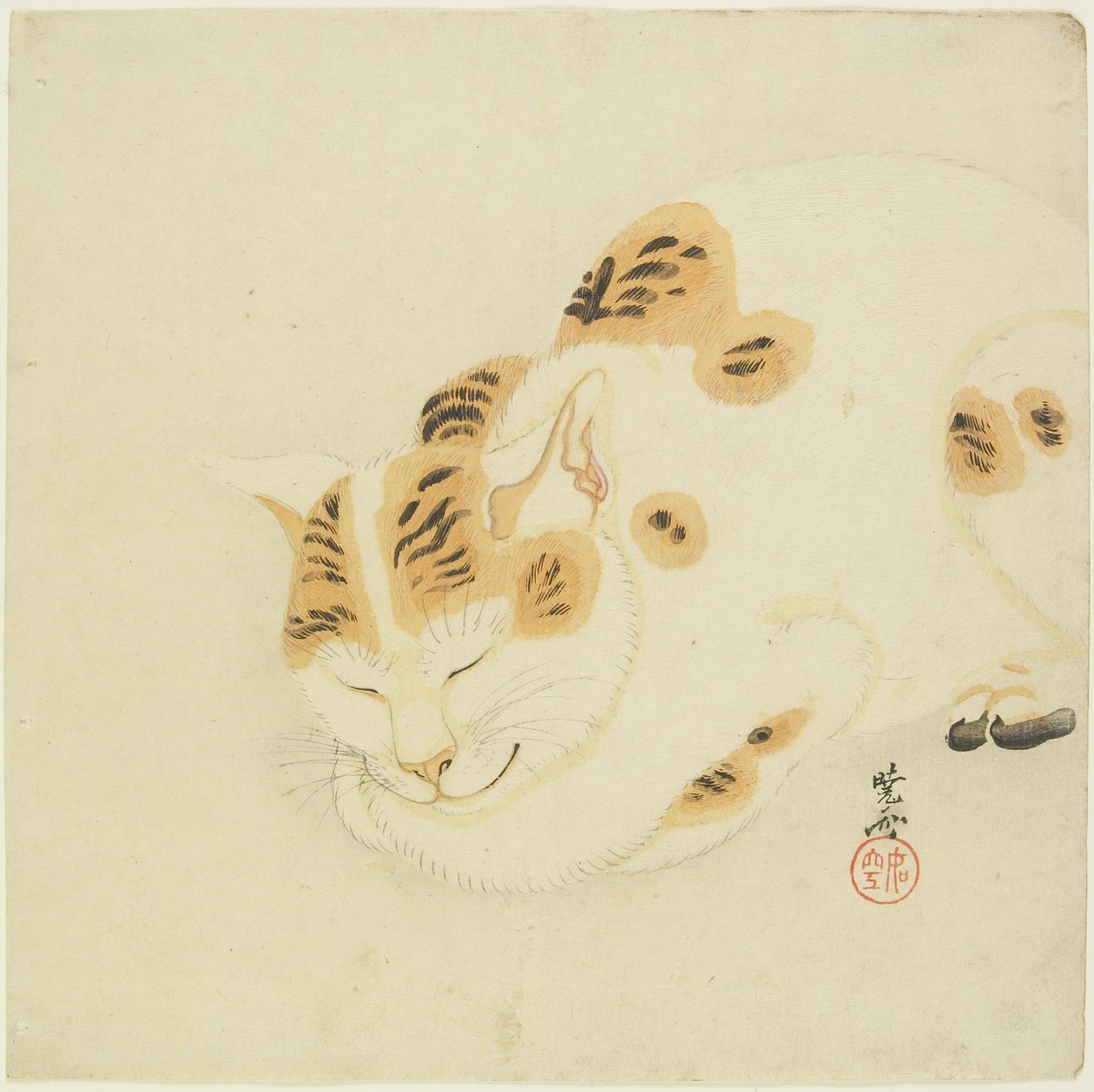 Sovande katt av Kawanabe Kyosai