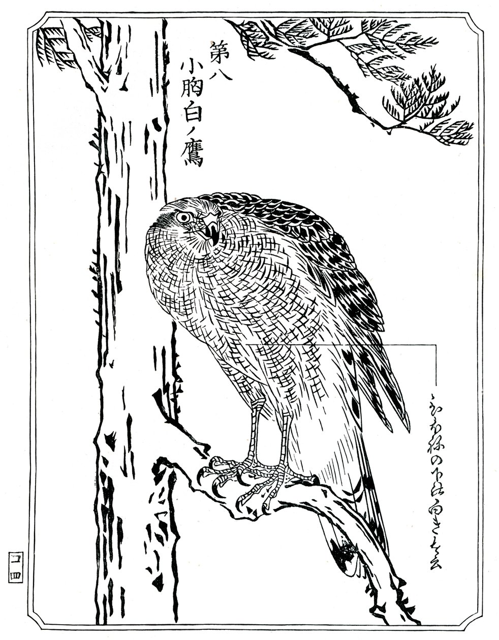En hök, 1898. av Kawanabe Kyosai