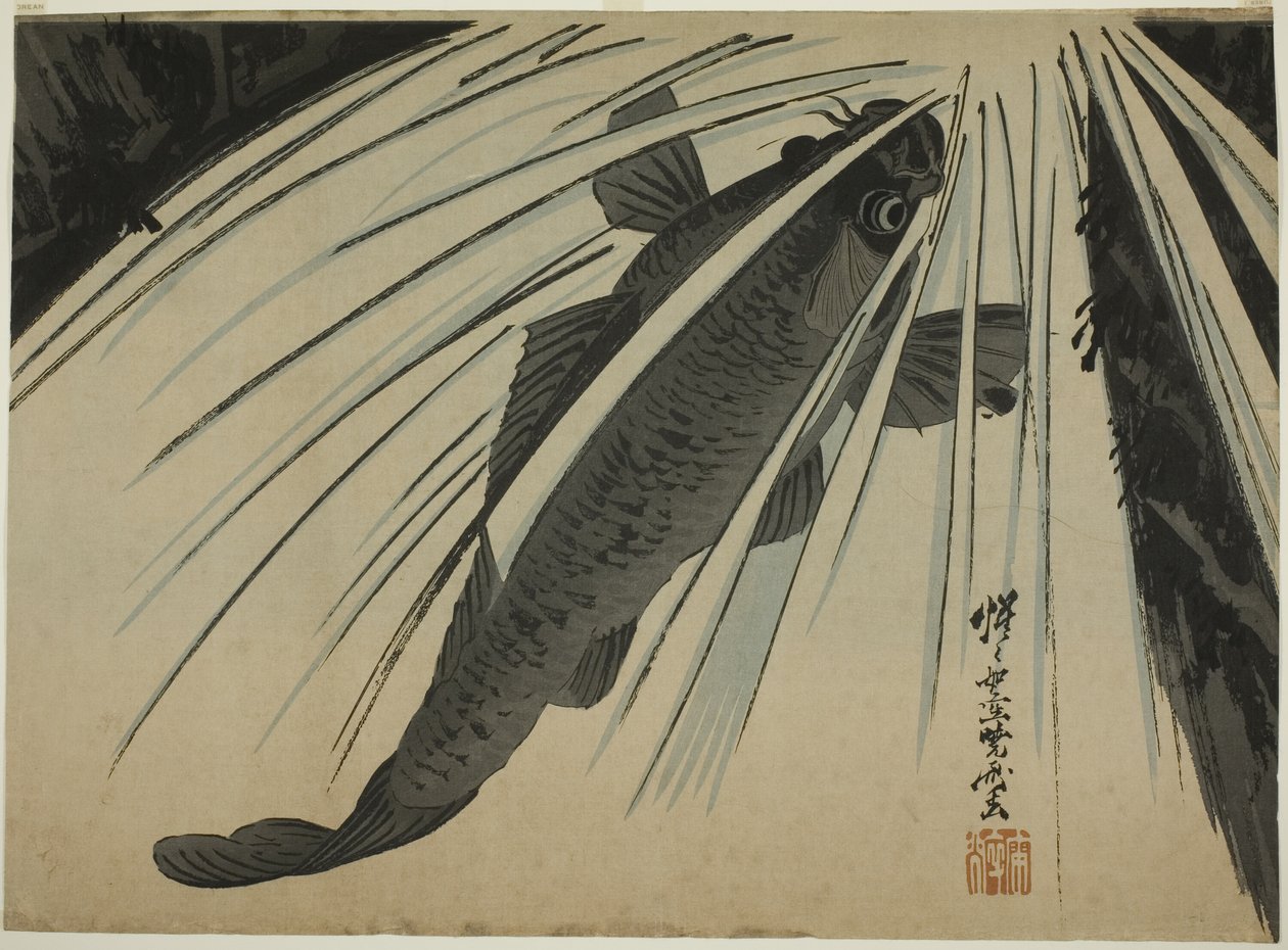 Carp Stigande fall av Kawanabe Kyosai