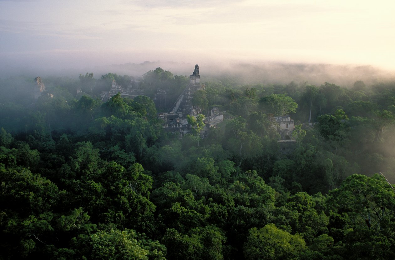 Maya; Tikal; Guatemala av Kenneth Garrett