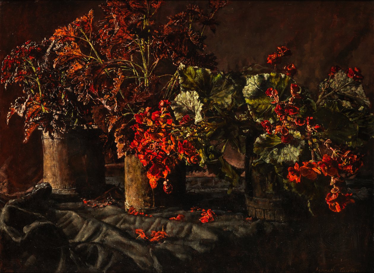 Begonia (olja på duk) av Kenneth Newton