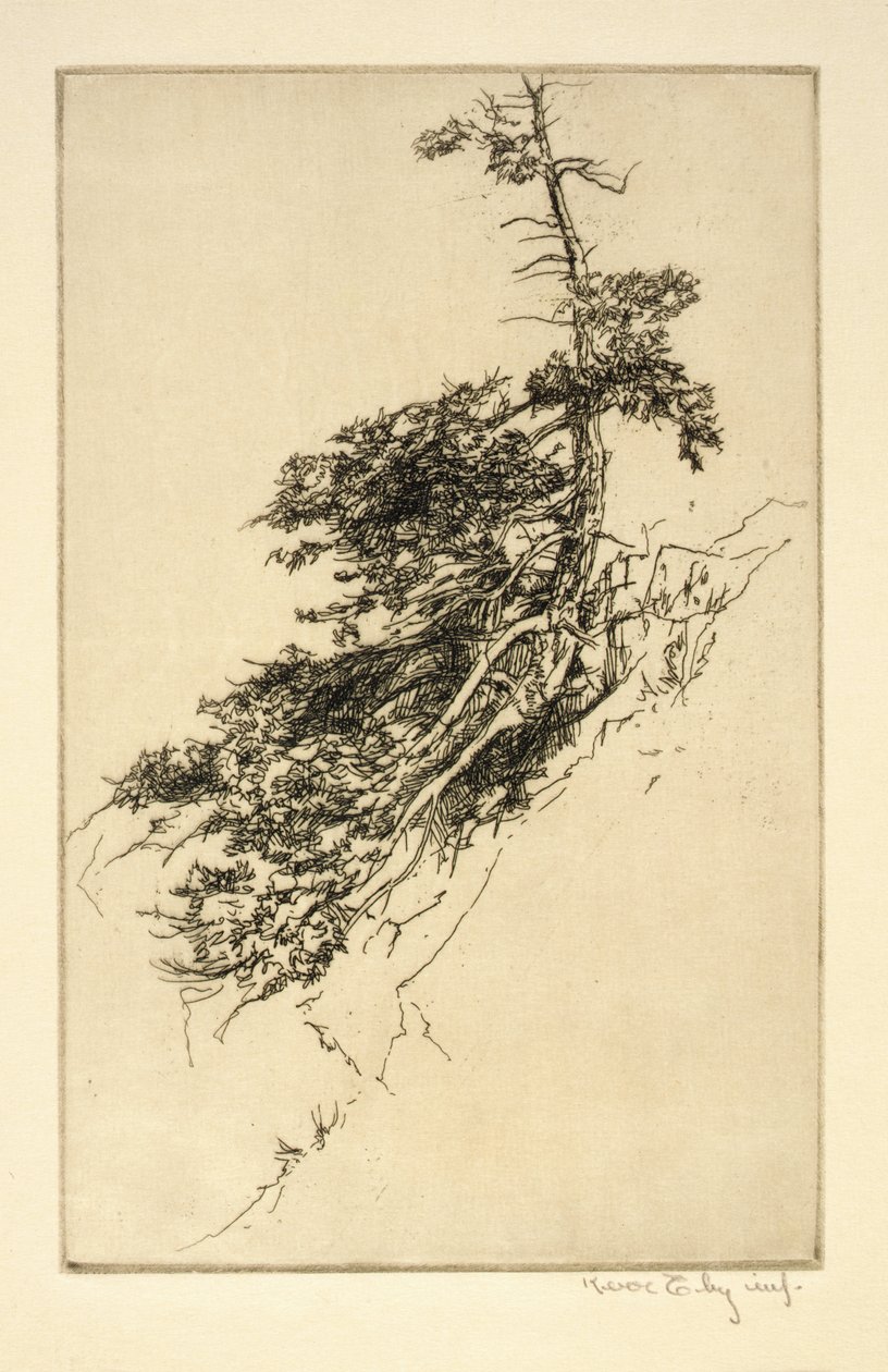 Little Rock Pine av Kerr Eby