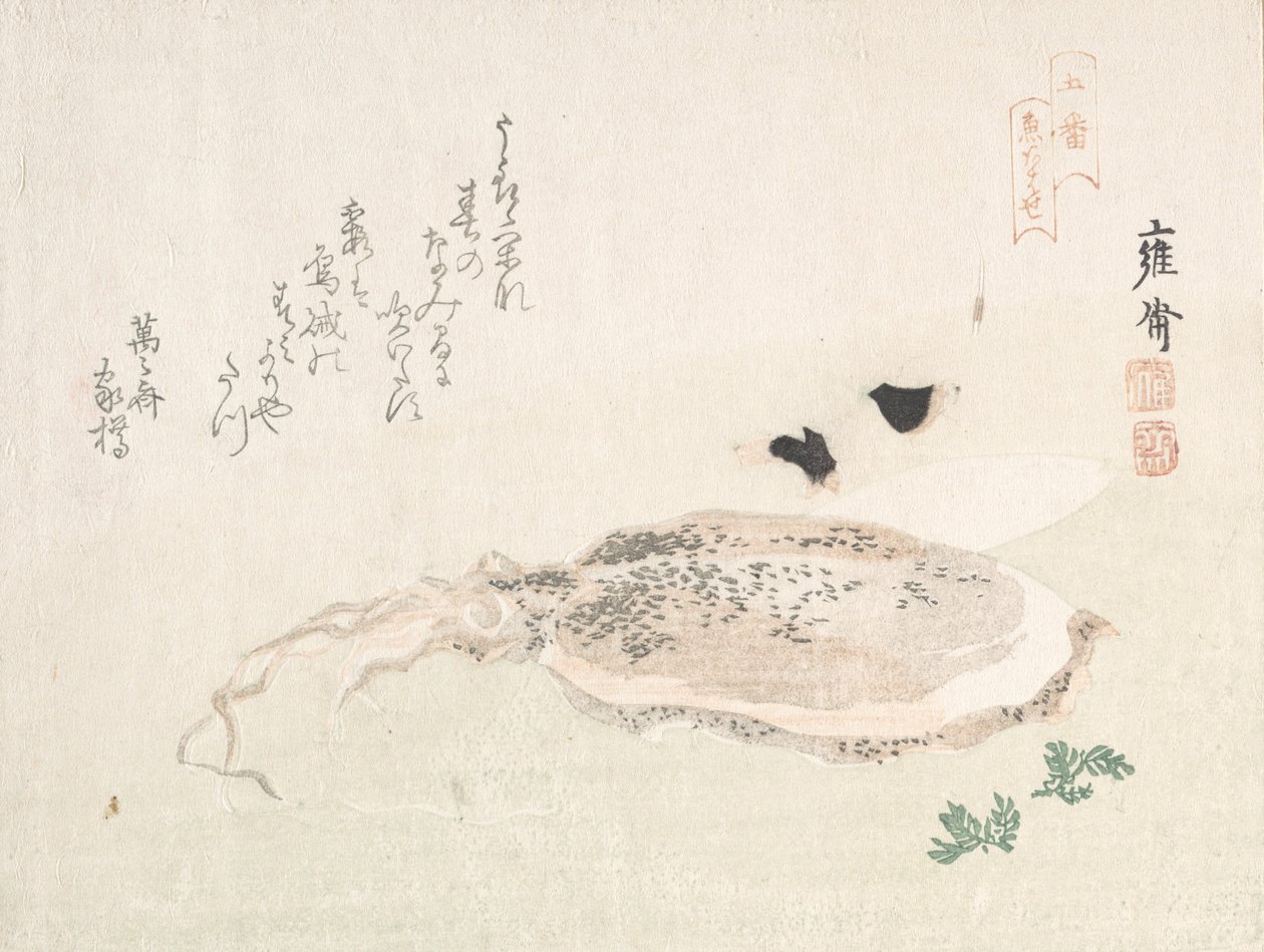 Bläckfisk, tidigt 1800-tal. av Kikuchi Yosai