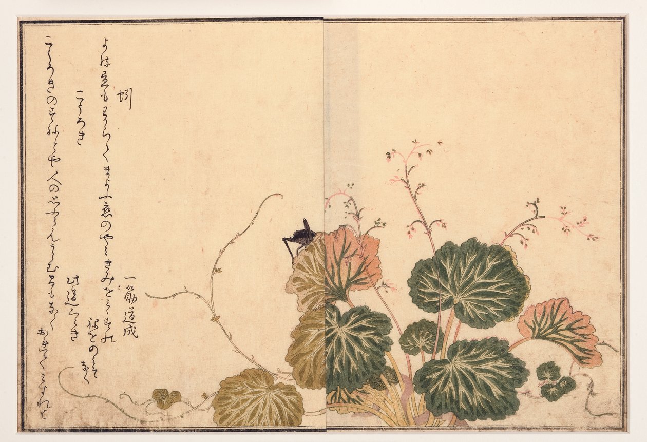 Daggmask och svart syrsa, 1788 (träblock) av Kitagawa Utamaro