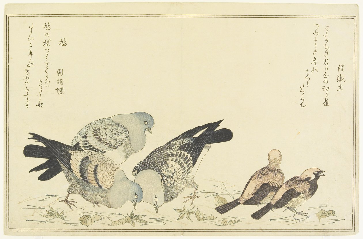 Trädsparv och klippduva, ca. 1790 av Kitagawa Utamaro