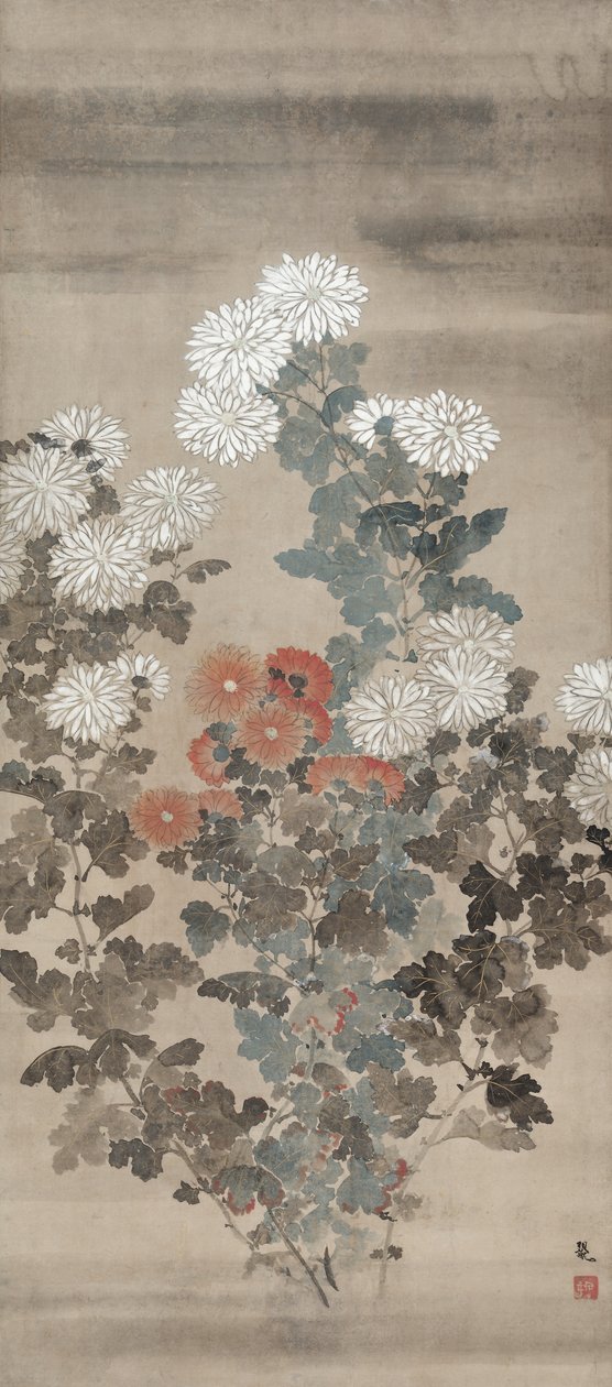 Krysantemum av Kitagawa Sosetsu