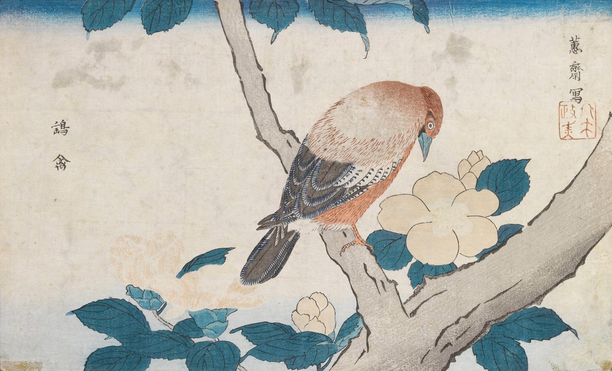 Untitled av Kitao Masayoshi