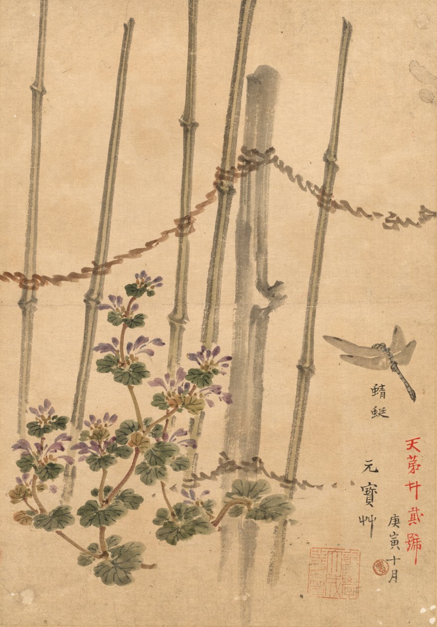 Bambu staket och krysantemum, ca. 1890. av Kono Bairei