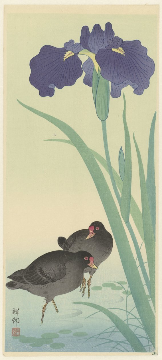 Morhöns och iris (träsnitt i färg) av Ohara Koson