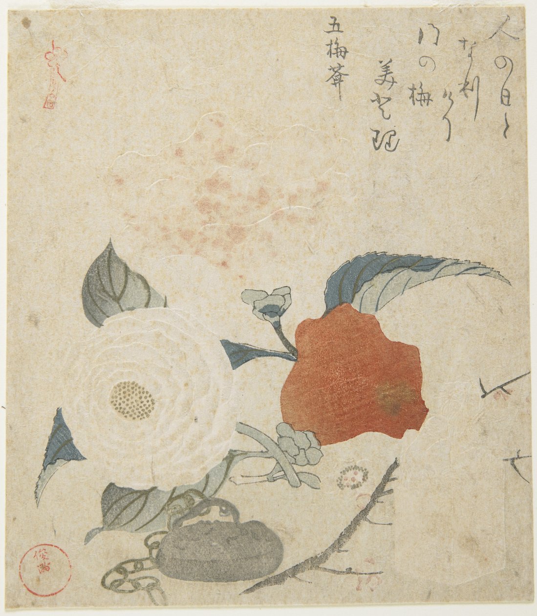 (Plumgren, en pionblomma och en metalltätning), 1816 av Kubo Shunman