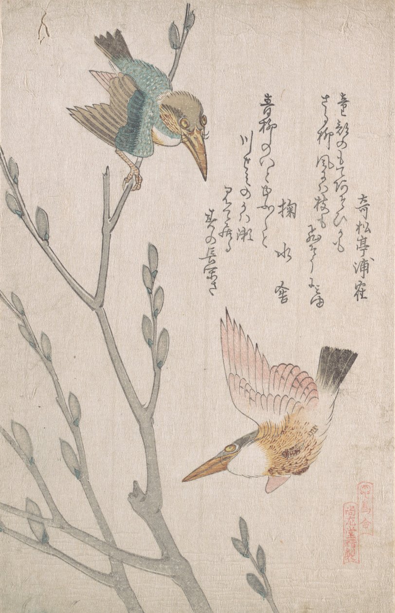 Kungsfiskare och fittpil, 1800-tal. av Kubo Shunman