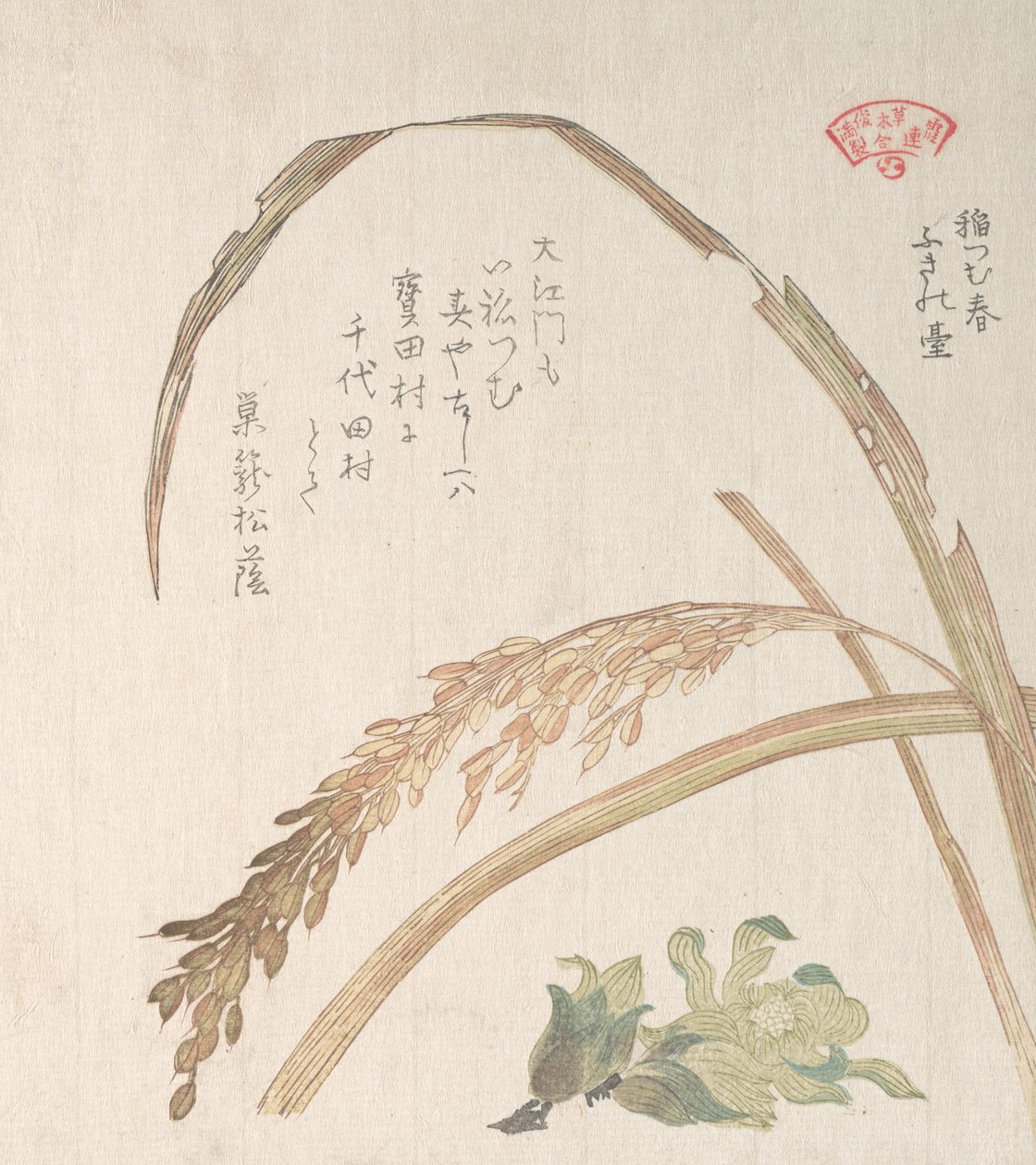 Rice Plant and Butter-Burs, 1800-talet. av Kubo Shunman