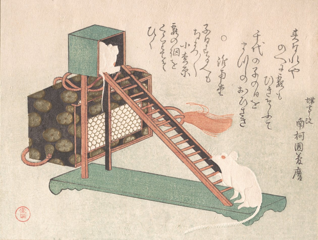 Vita möss som leker, troligen 1816. av Kubo Shunman