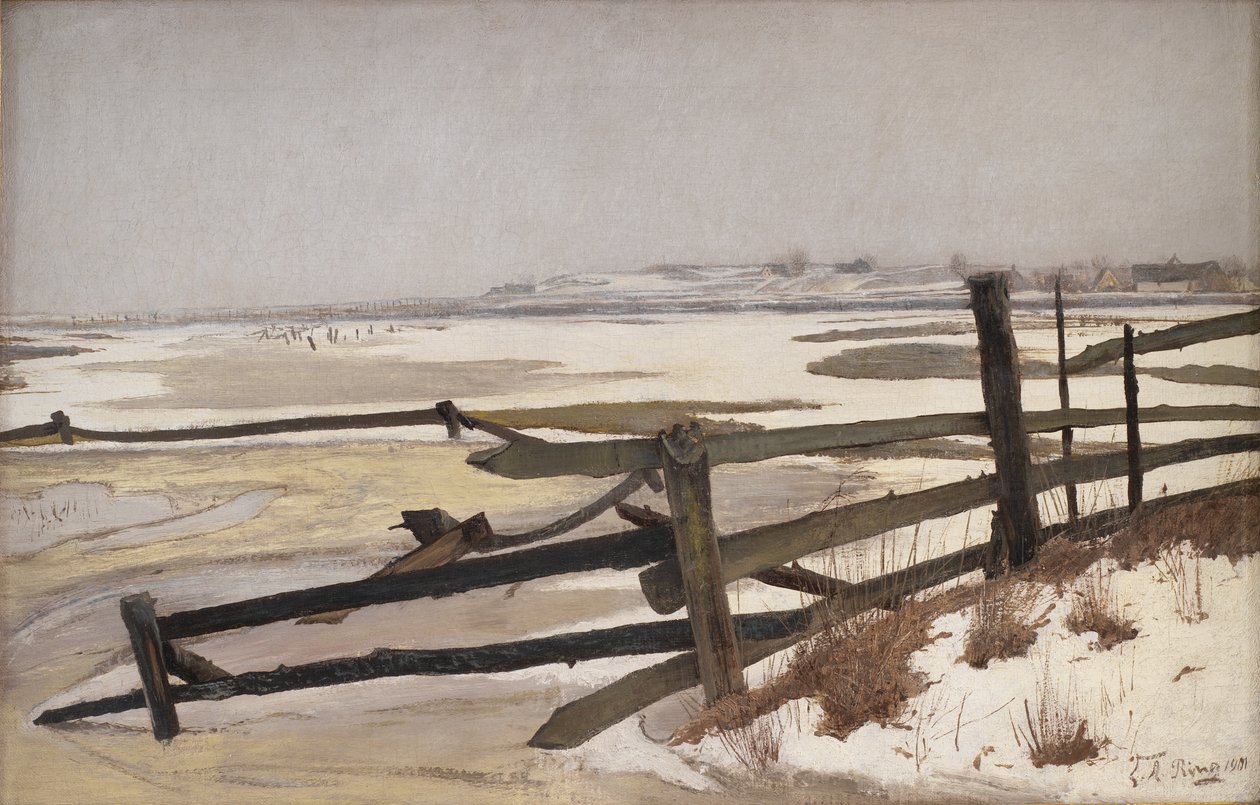 Tina av Laurits Andersen Ring