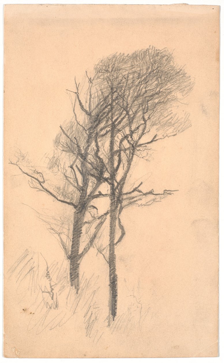 Två träd med låg undervegetation av Laurits Andersen Ring