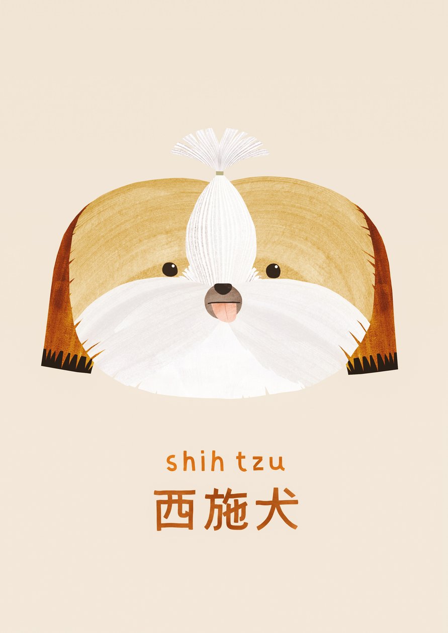 Shih tzu, 2019 av Léa Le Pivert