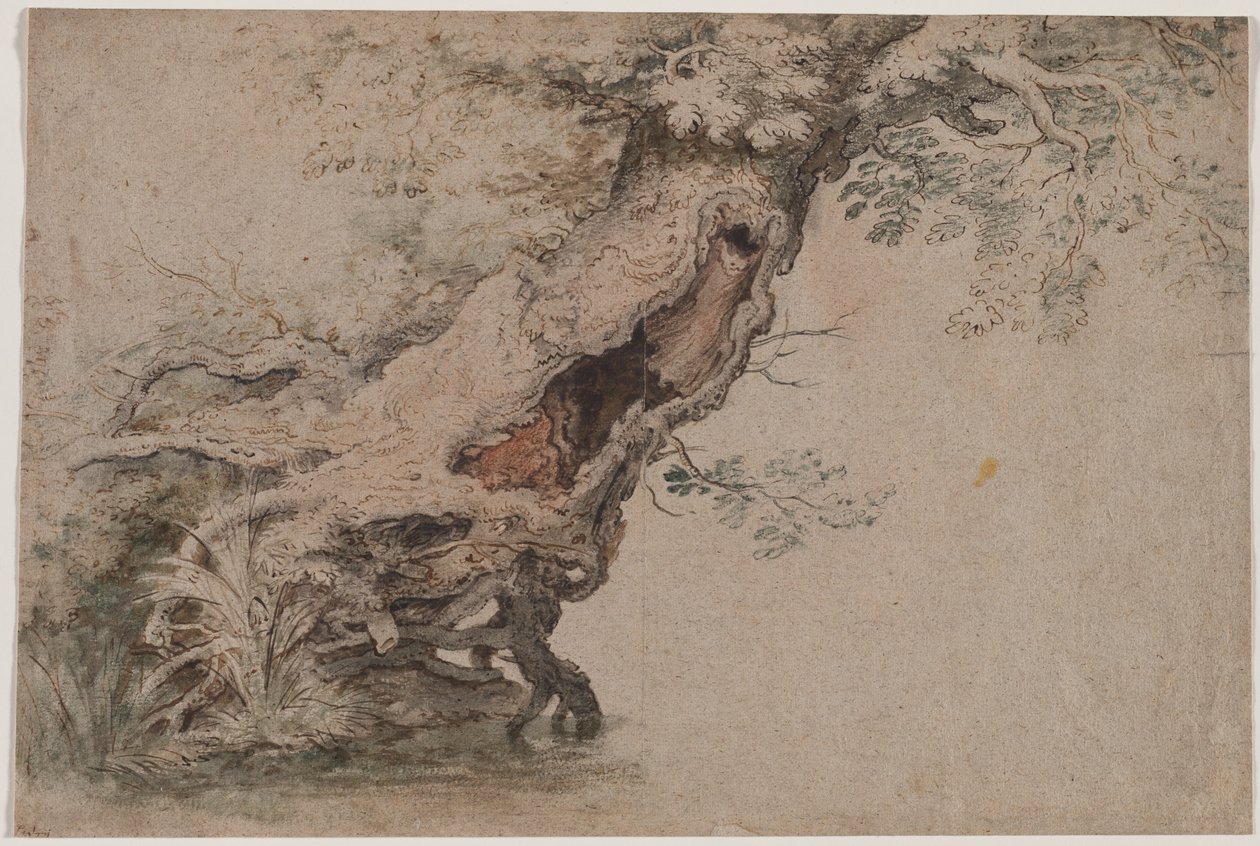 Hollow Tree, efter Roelant Savery, efter 1670. av Lambert Doomer