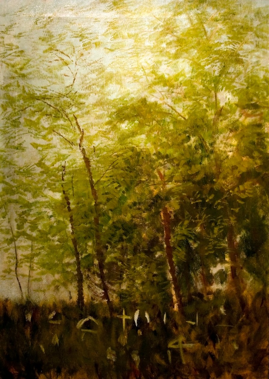  Erdoszele sirkeresztekkelnEnglish: Fringe_of_Forest_with_Crossesn av Laszlo Mednyanszky