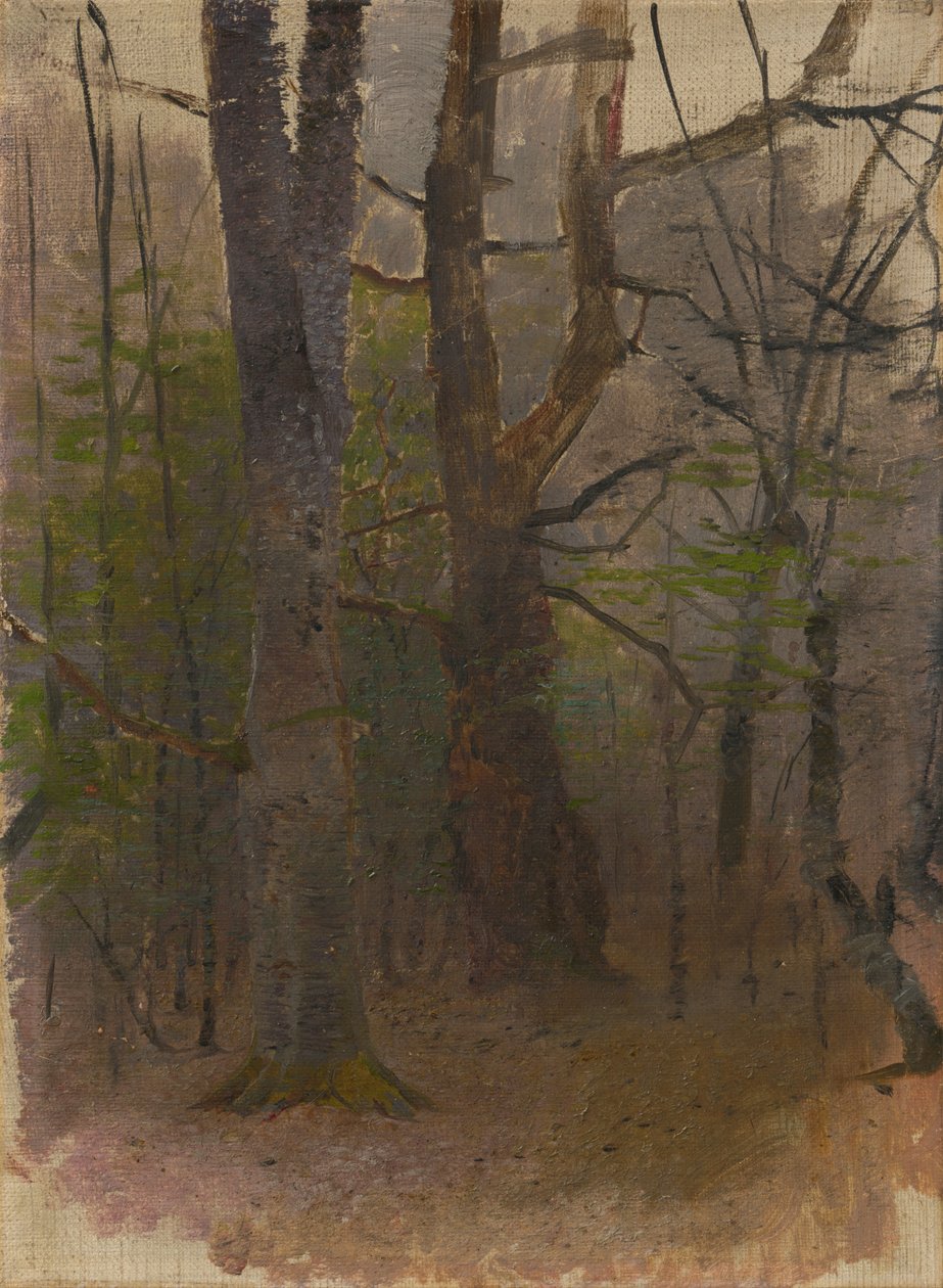 Tidig vår. Skogen av Laszlo Mednyanszky
