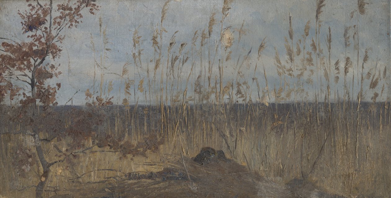 Landstudie runt marsh av Laszlo Mednyanszky