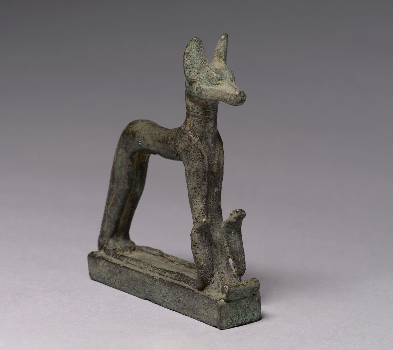 Schakal, 664-30 f.Kr av Late Period Egyptian