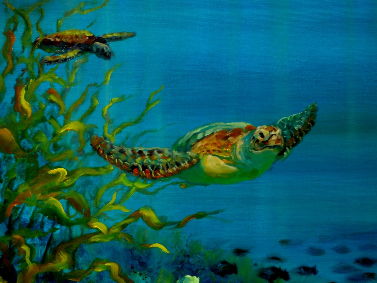Green Turtle, 2018, av Lee Campbell