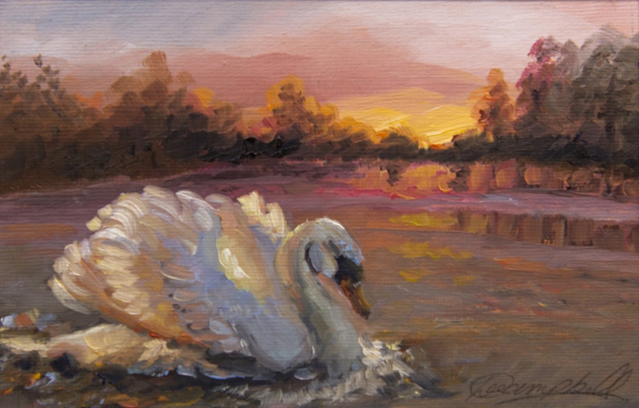 Swan at Sunrise, 2016, (olja på papper) av Lee Campbell