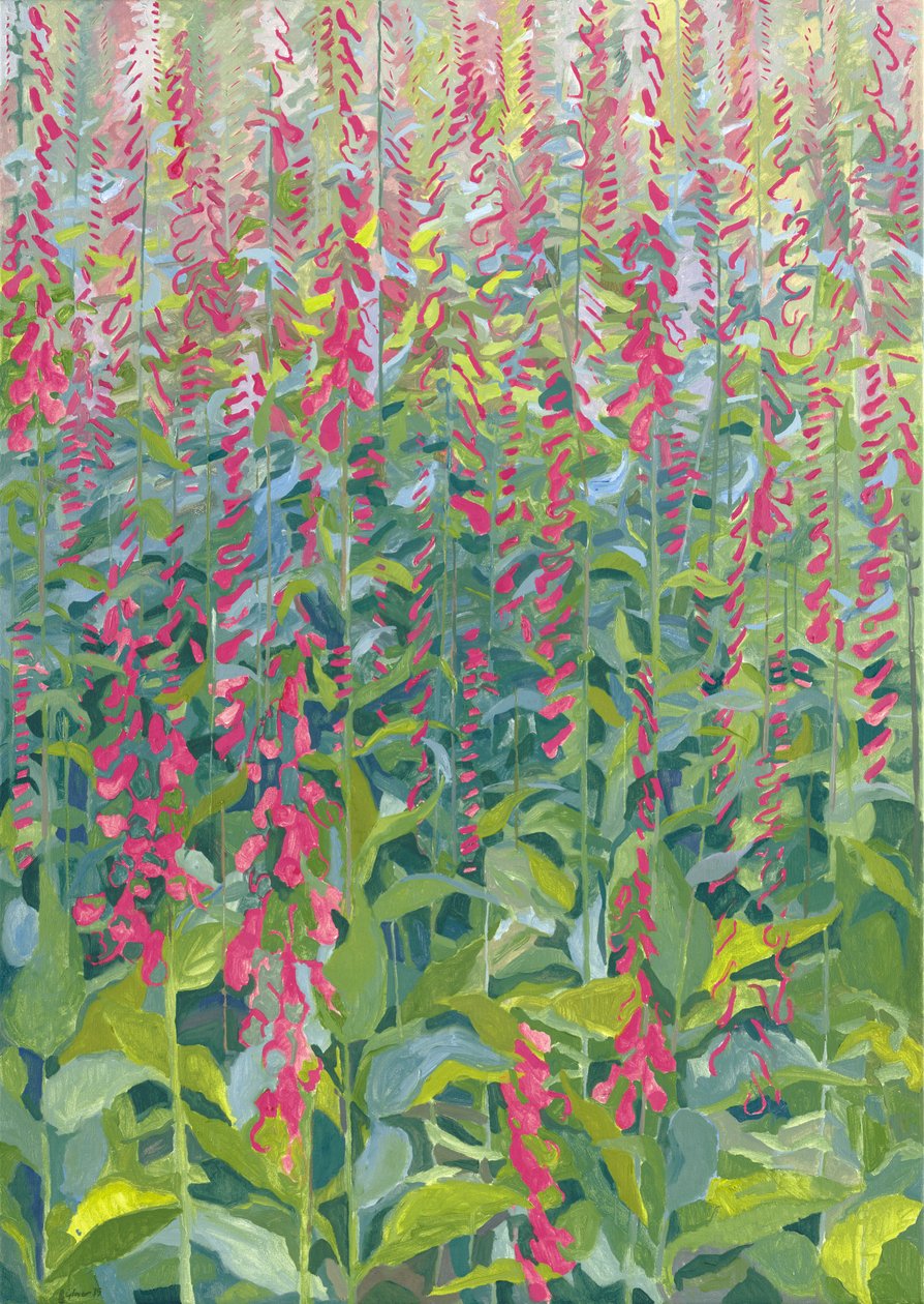 Foxgloves, 2014 av Leigh Glover