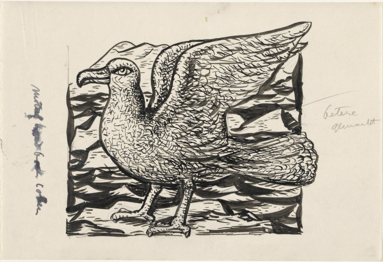 fiskmås av Leo Gestel