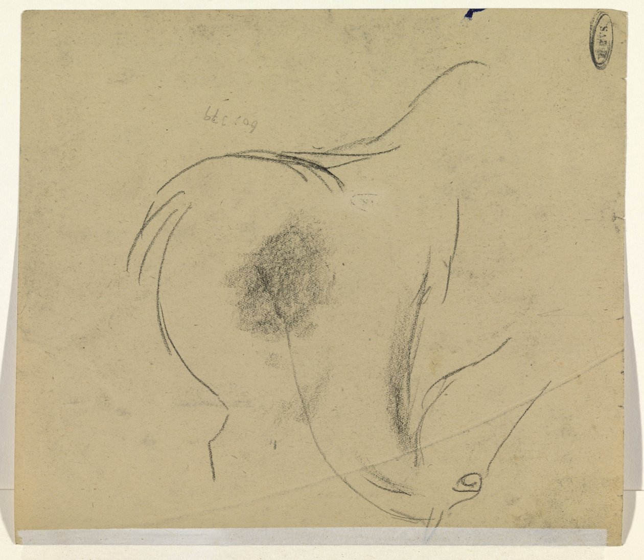 hästhuvud av Leo Gestel