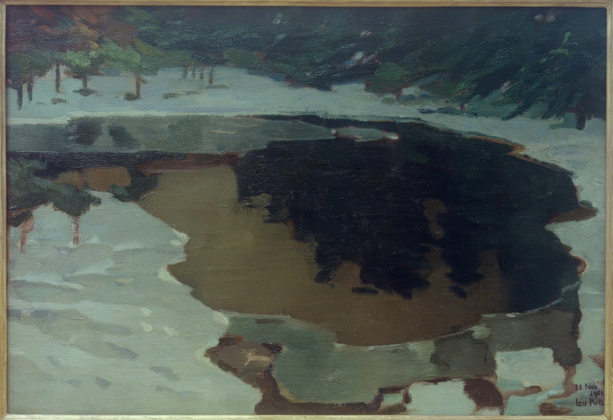 Moorsee im Winter av Leo Putz