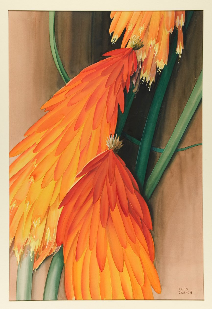Skyrocket (Red Hot Poker) av Leon Carroll