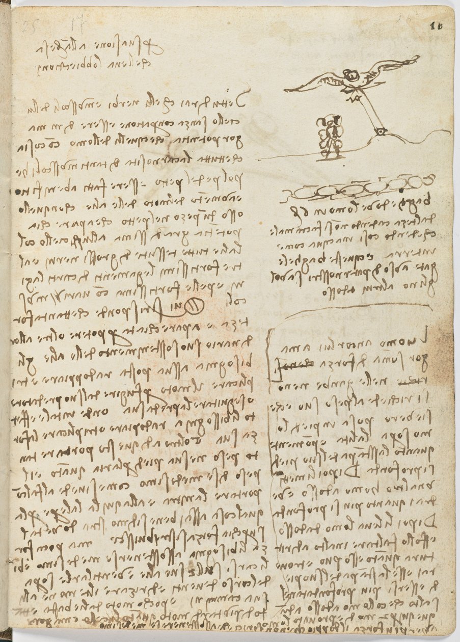 Fåglars flygkod, c. 1505-06, pappersmanuskript, cc. 18, blad 16 recto av Leonardo da Vinci