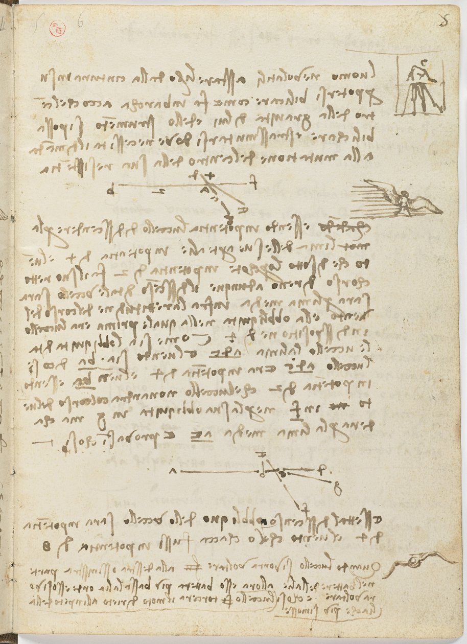 Fåglars flygkod, c. 1505-06, pappersmanuskript, cc. 18, ark 5 recto av Leonardo da Vinci
