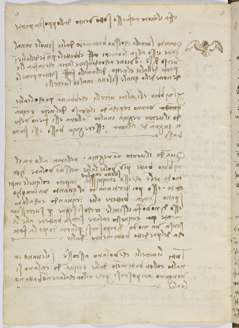 Fåglars flygkod, c. 1505-06, pappersmanuskript, cc. 18, blad 5 ago av Leonardo da Vinci
