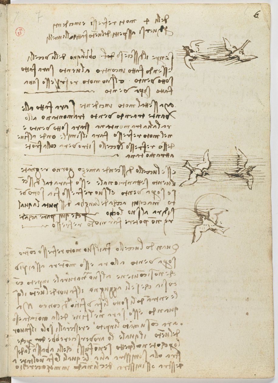 Fåglars flygkod, c. 1505-06, pappersmanuskript, cc. 18, blad 6 recto av Leonardo da Vinci