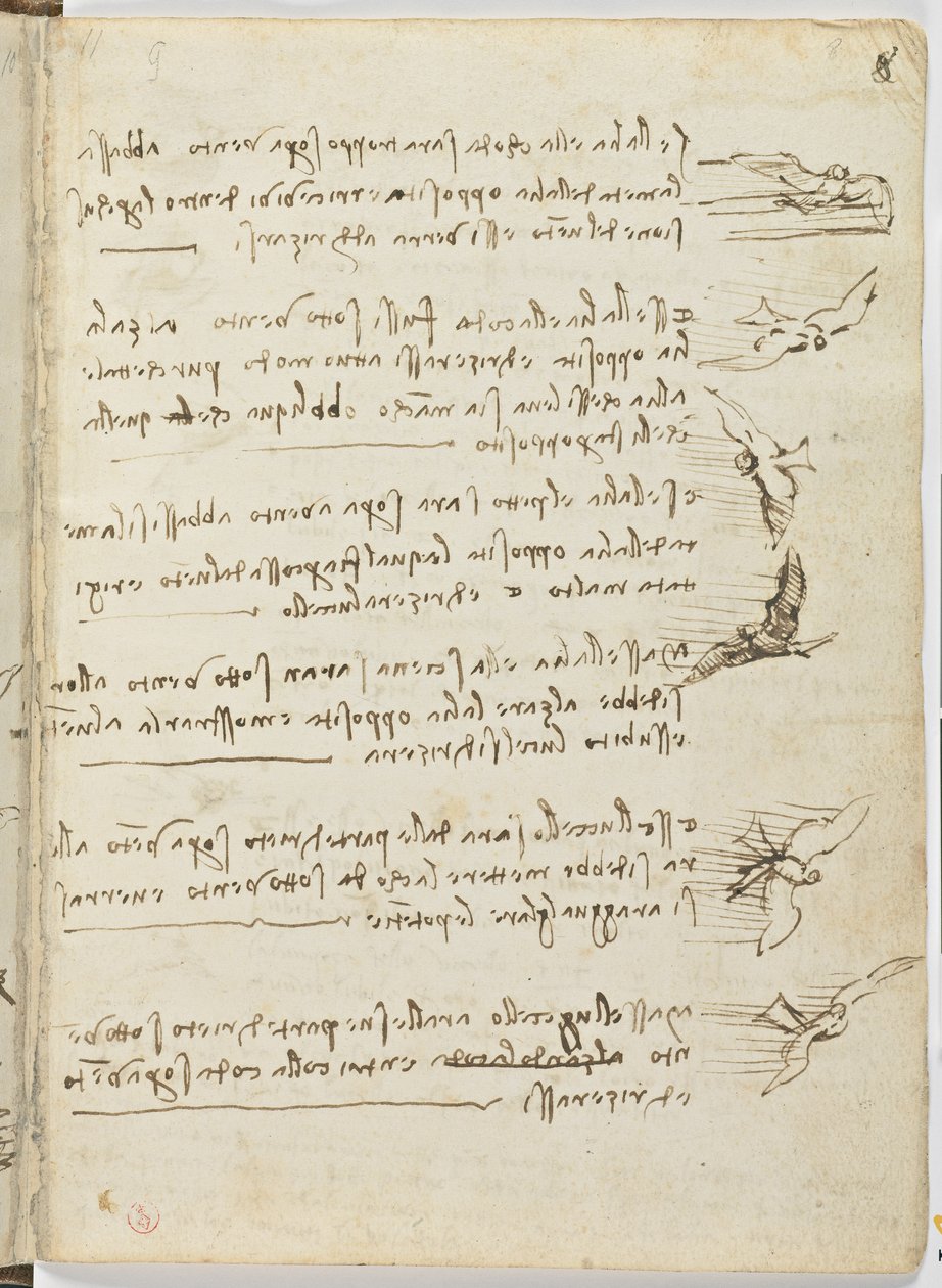 Fåglars flygkod, c. 1505-06, pappersmanuskript, cc. 18, blad 8 recto av Leonardo da Vinci