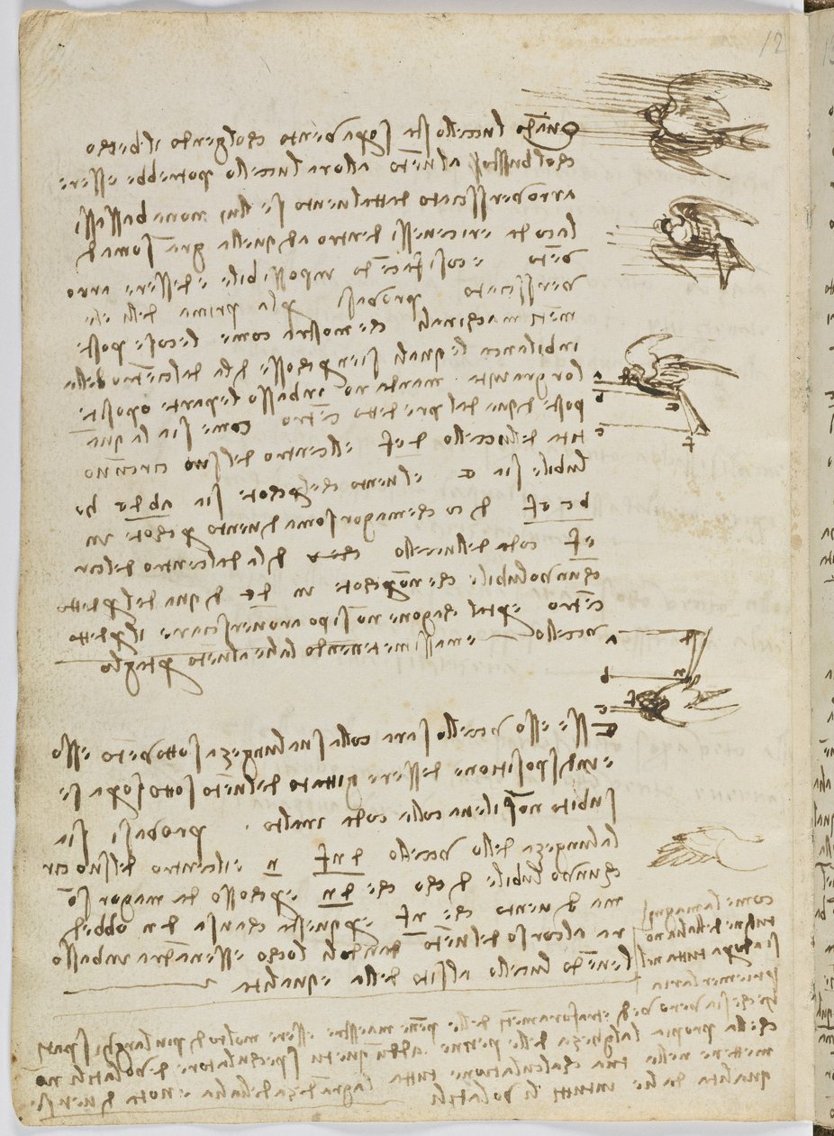 Fåglars flygkod, c. 1505-06, pappersmanuskript, cc. 18, blad 8 verso av Leonardo da Vinci