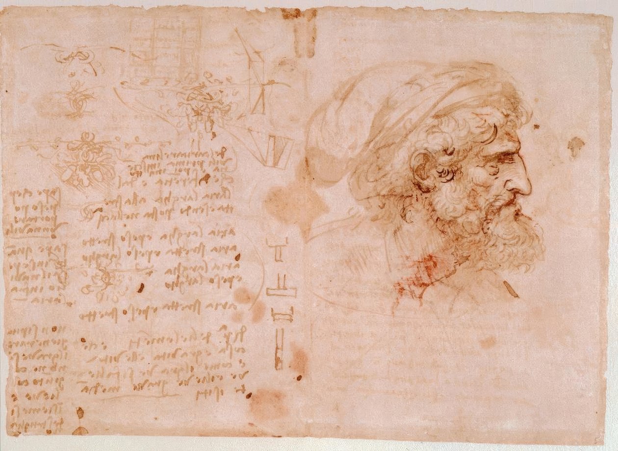 Bladprydnadsstudier / profilporträtt av en gammal man ... av Leonardo da Vinci