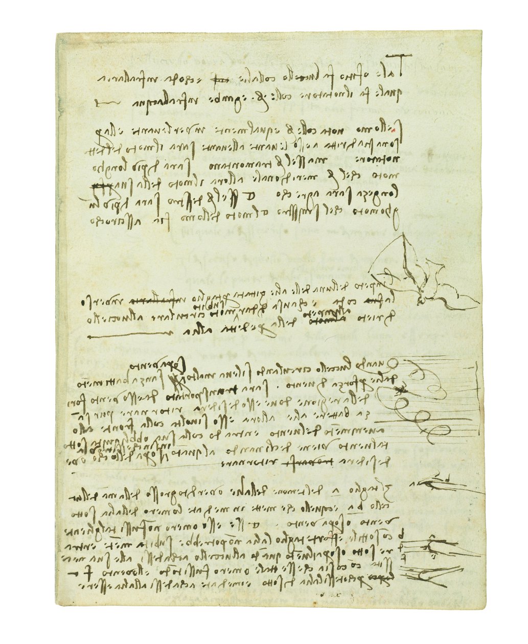 Codex om fåglarnas flykt, Folio 10 recto av Leonardo da Vinci