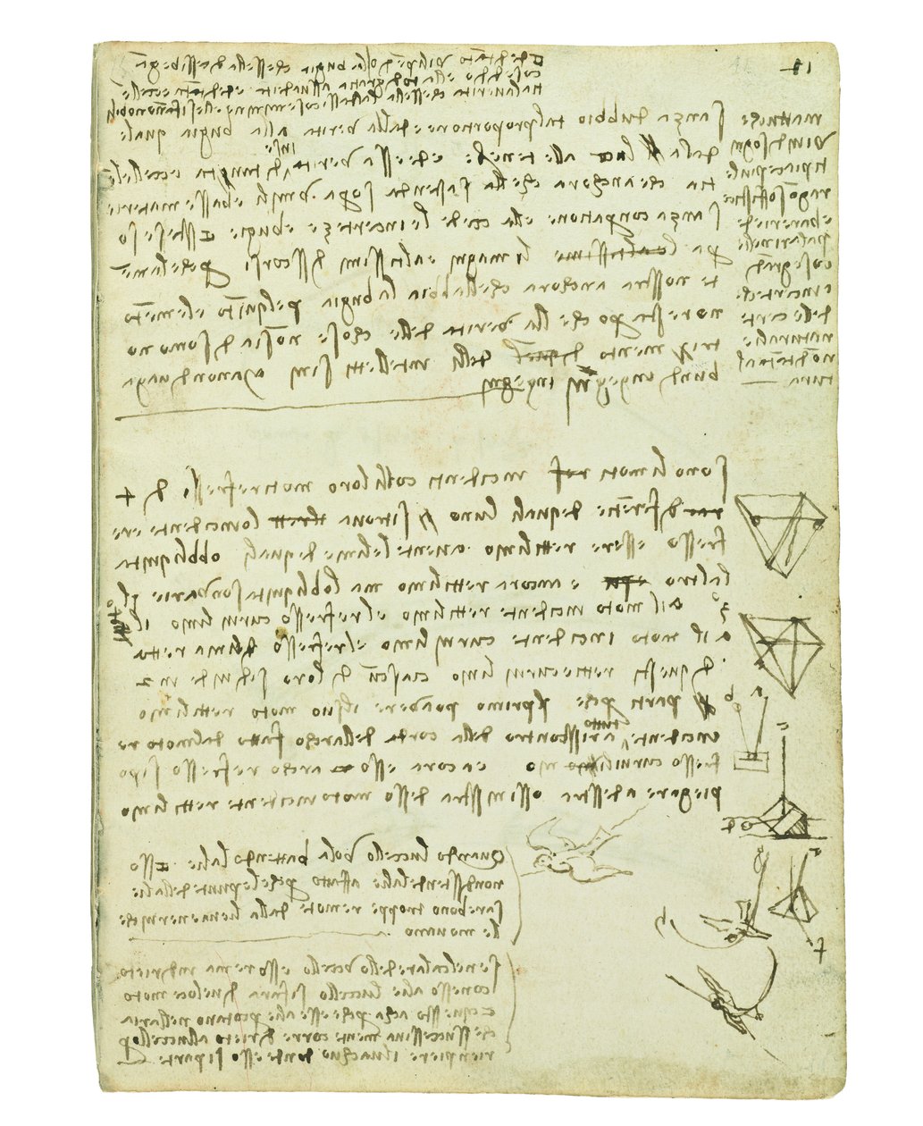 Codex om fåglarnas flykt, Folio 11 recto av Leonardo da Vinci