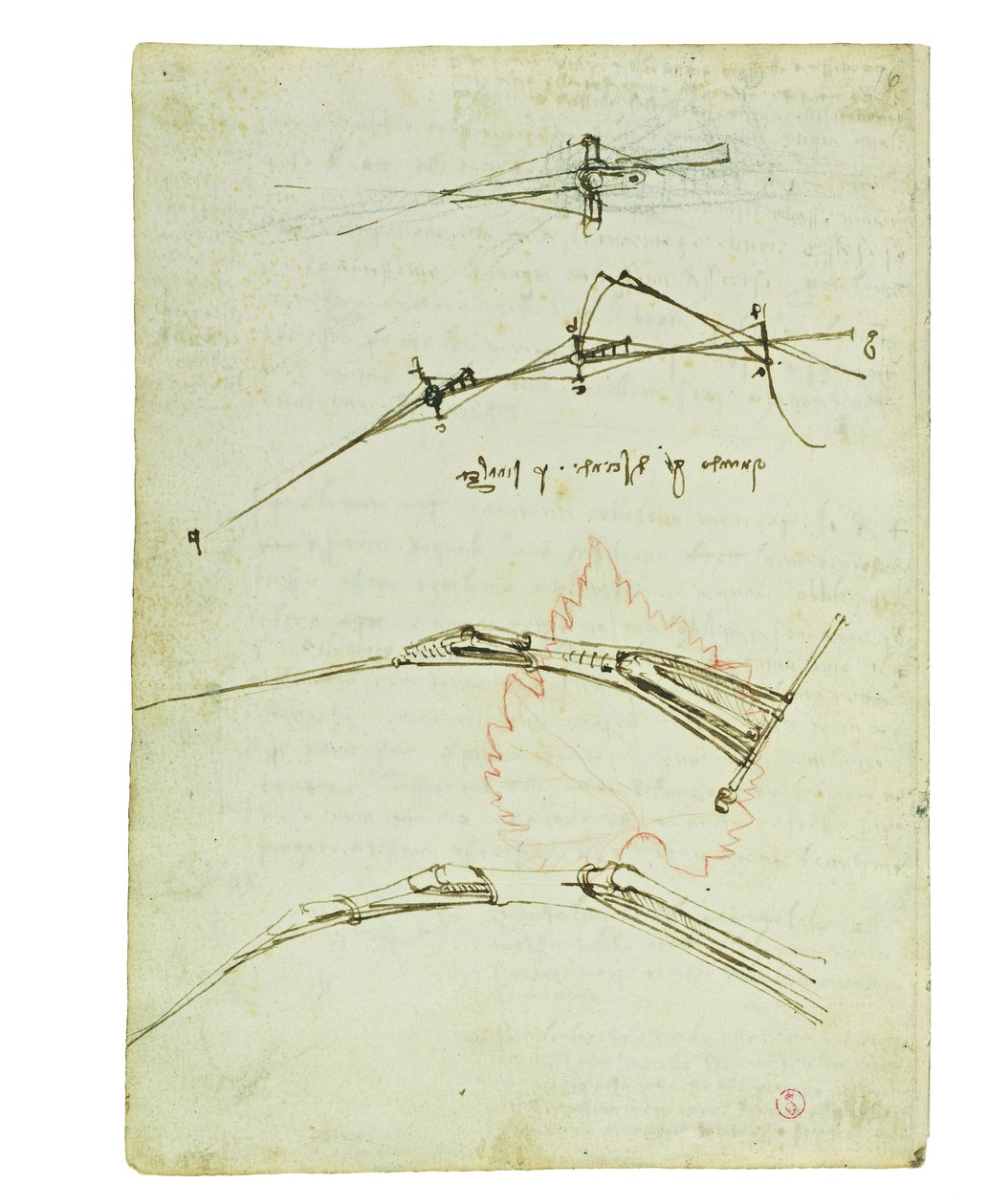Codex om fåglarnas flygning, Folio 11 verso av Leonardo da Vinci
