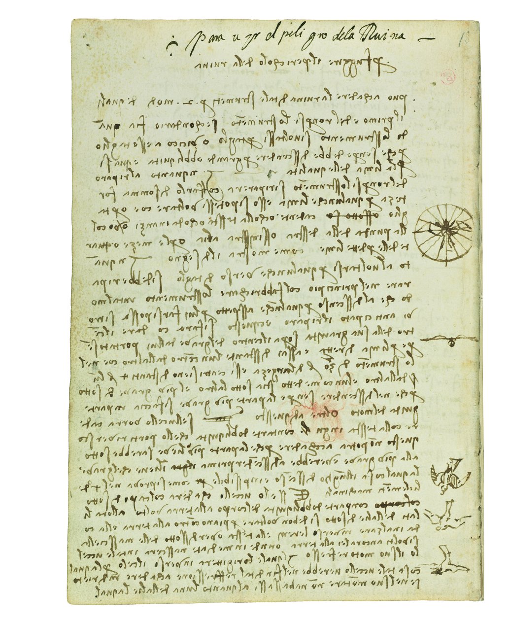 Codex om fåglarnas flygning, Folio 12 verso av Leonardo da Vinci