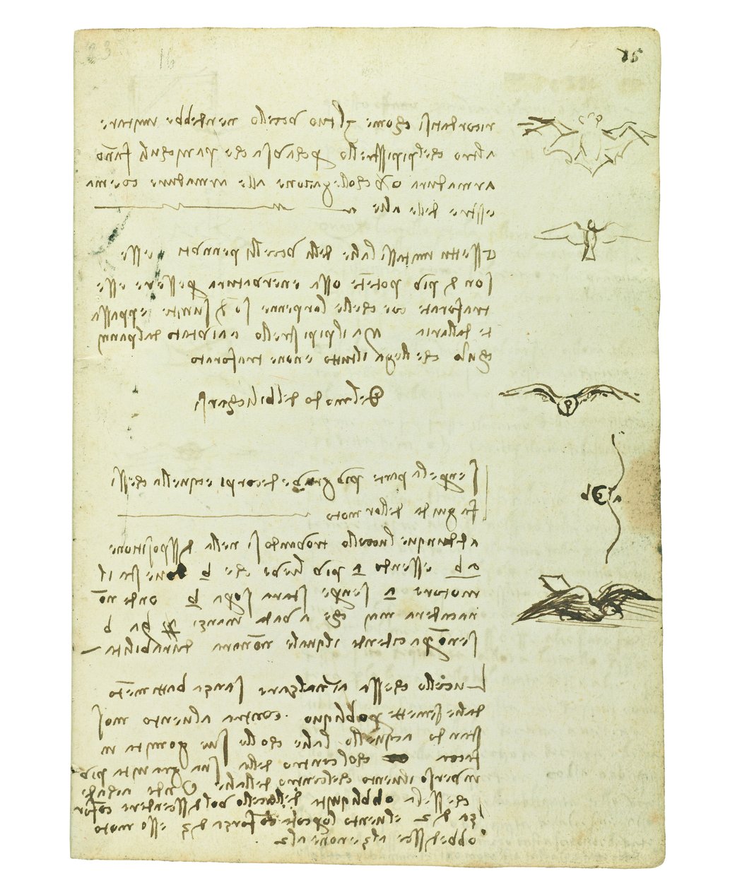 Codex om fåglarnas flykt, Folio 15 recto av Leonardo da Vinci