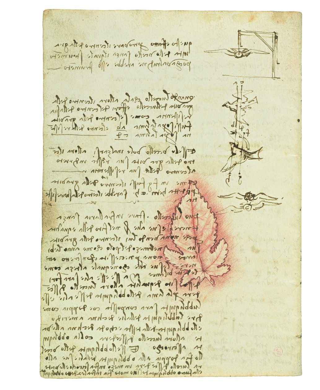 Codex om fåglarnas flygning, Folio 15 verso av Leonardo da Vinci