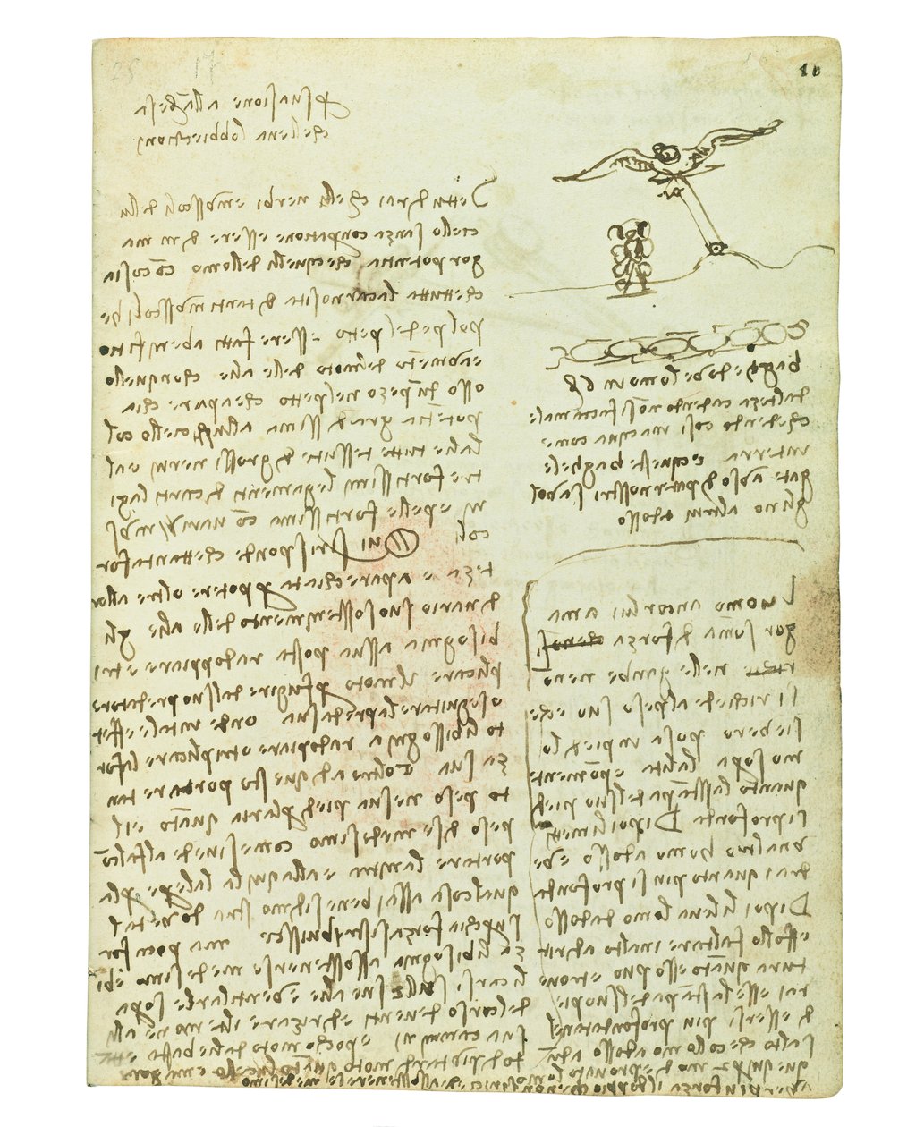 Codex om fåglarnas flykt, Folio 16 recto av Leonardo da Vinci