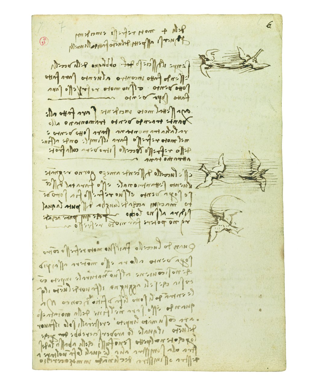 Codex om fåglarnas flygning, Folio 6 recto av Leonardo da Vinci